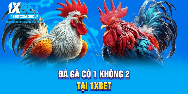 Đá gà có 1 không 2 tại 1XBET